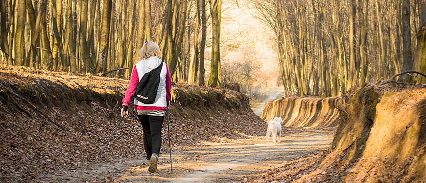 nordic walking - erdei séta